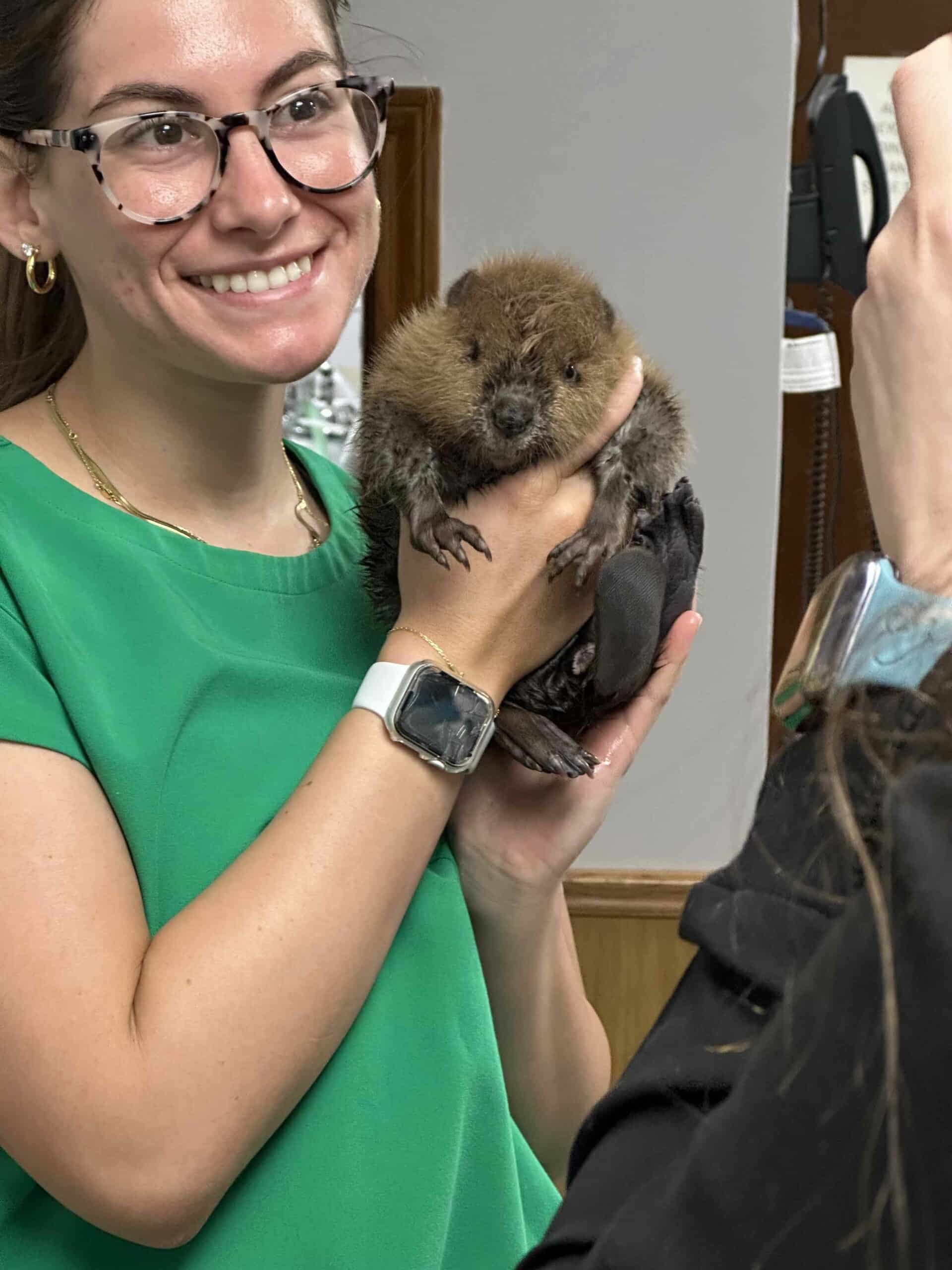 Local Care for Your Treasured Companions.