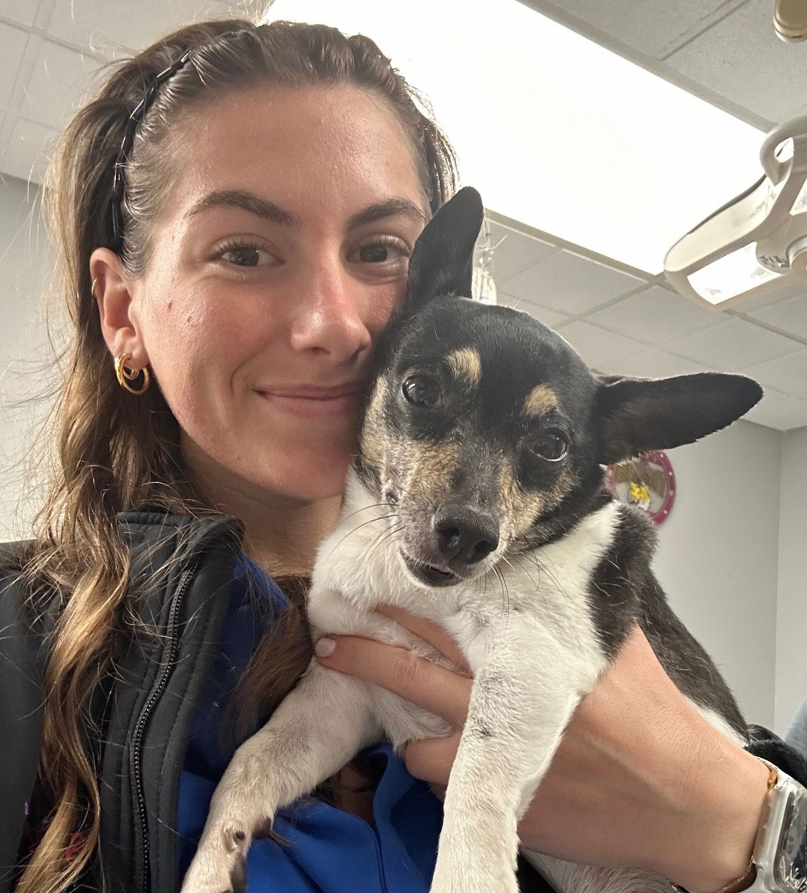 Pet Grooming in Rayne, LA