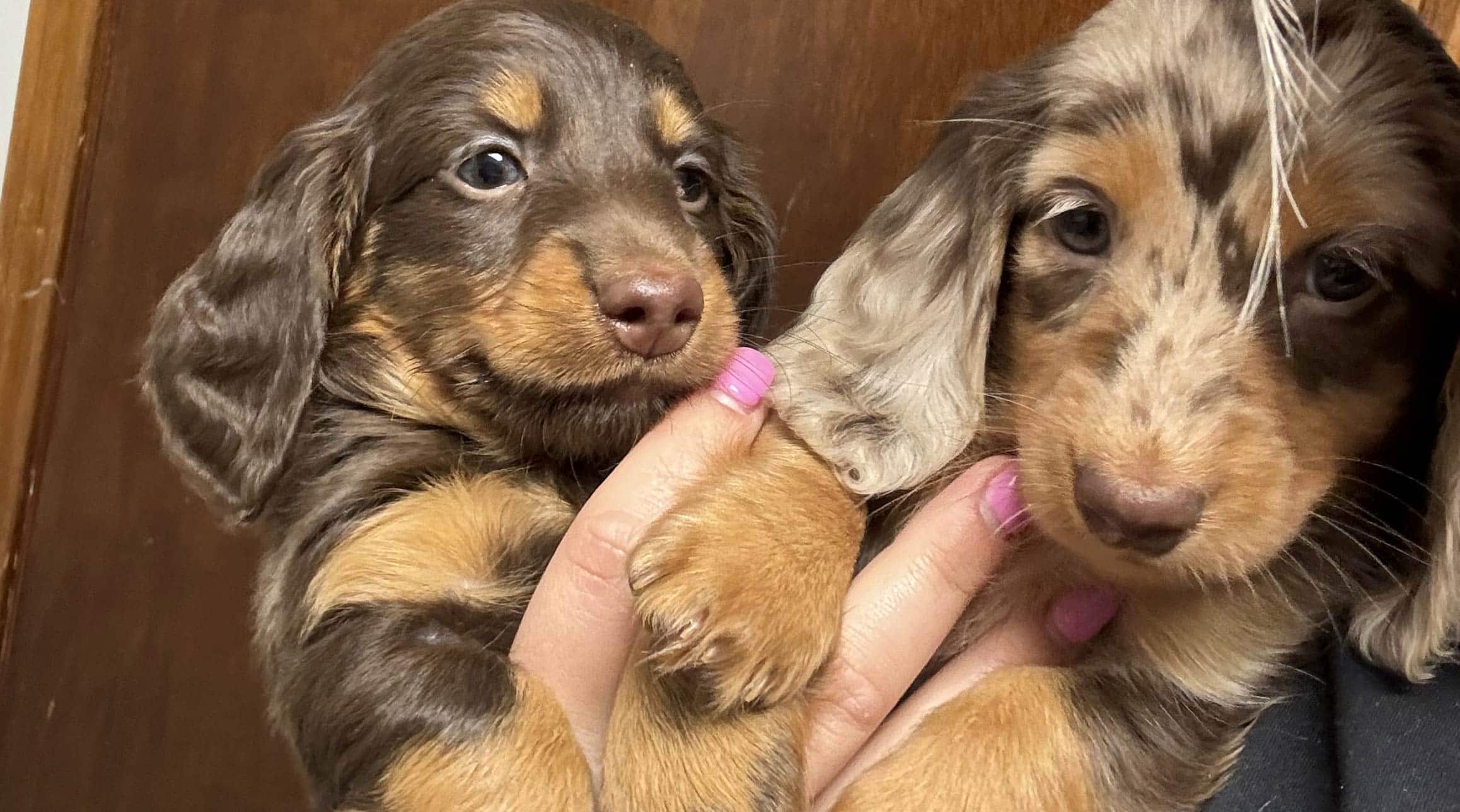 Reviews and Experiences Image